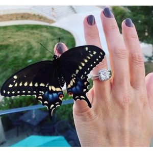 Diamond Rings, Diamond, Diamonds, Engagement Rings, Jewelry, Fine Jewelry, Jewelry Stores, Geiss and Sons, Greenville, South Carolina